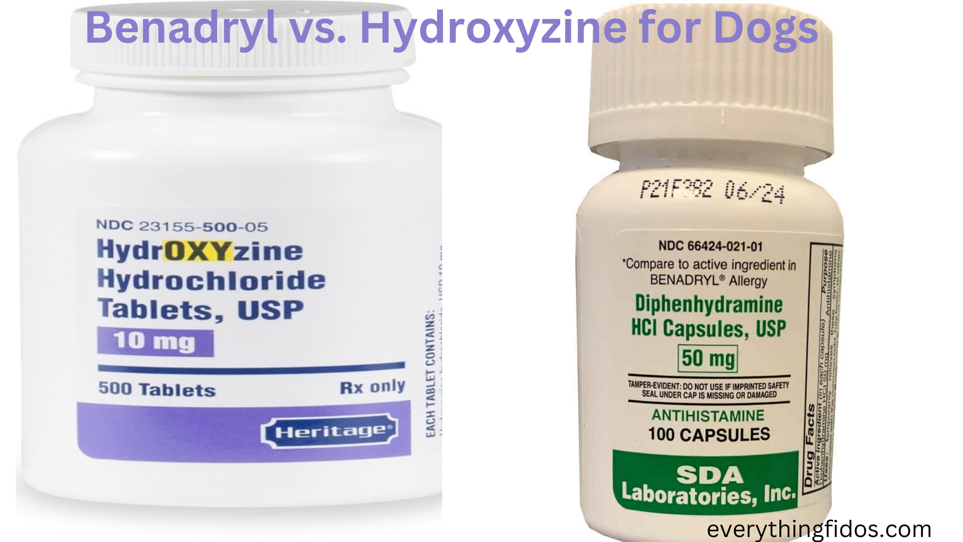 Benadryl vs. Hydroxyzine for Dogs