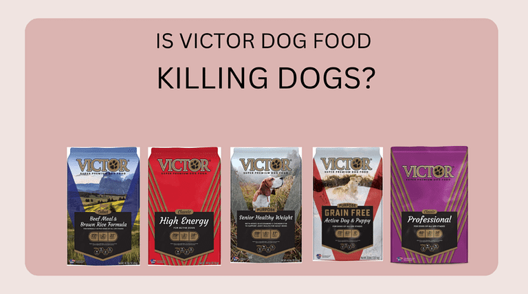 Victor Dog Food Killing Dogs