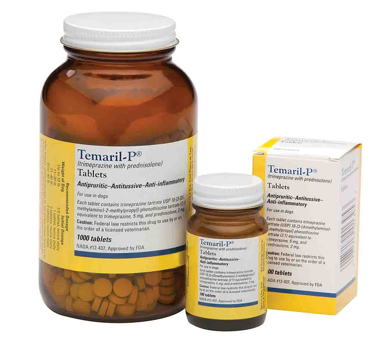 Temaril-P For Dogs- A Complete Guide